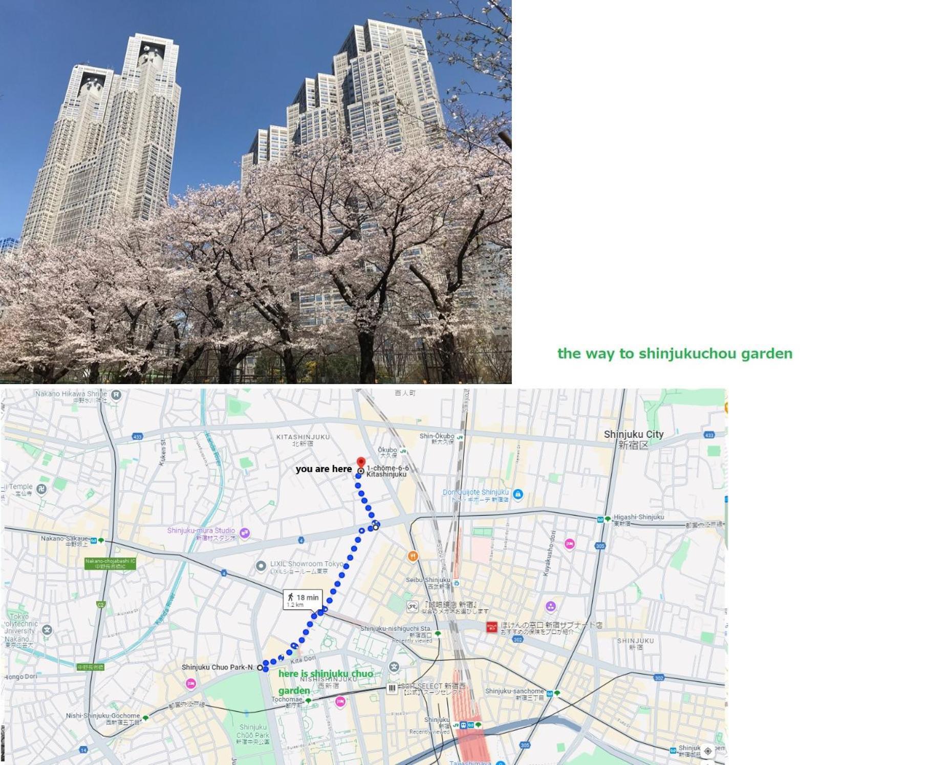 大久保駅から４分、貸切、韓国ダウン至近、新宿/歌舞伎町に徒歩圏内 、단독사용민박 Tokyo Exterior photo